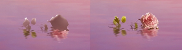 场景合成，合成一张落日湖泊场景实例