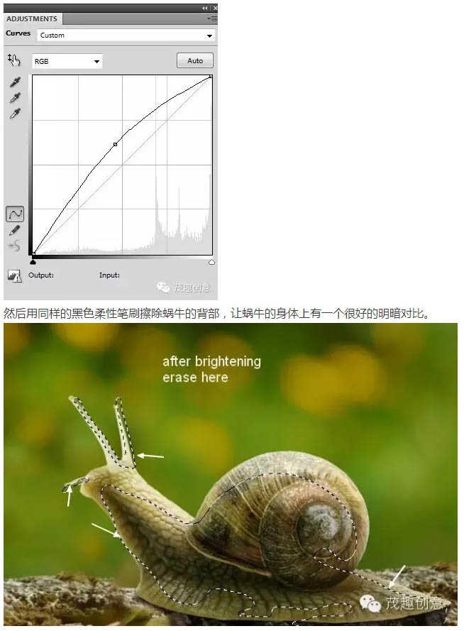 动物恶搞，合成背上长草的蜗牛图片