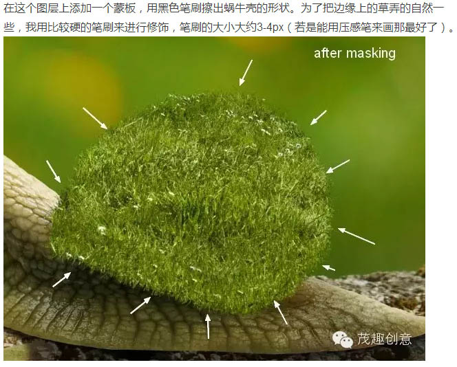 动物恶搞，合成背上长草的蜗牛图片