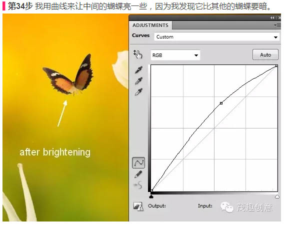 动物恶搞，合成背上长草的蜗牛图片