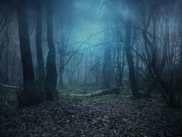 场景合成，合成一个黑暗系的森林场景
