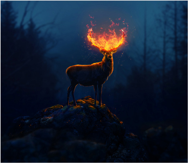 火焰效果：合成头上着火的火炎鹿