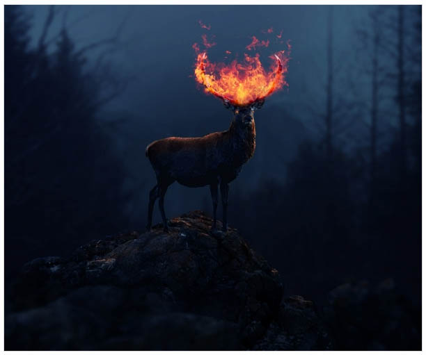 火焰效果，合成头上着火的火炎鹿