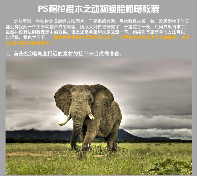 动物合成：恶搞合成斑马大象图片