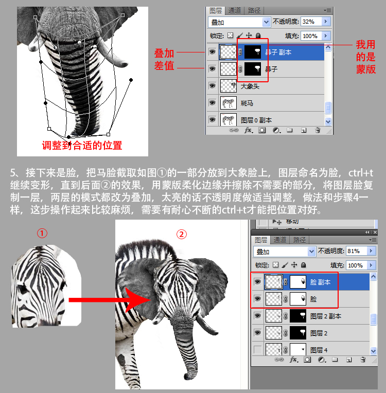 动物合成，恶搞合成斑马大象图片