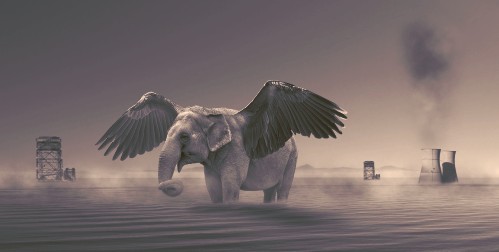 Photoshop合成会飞的大象