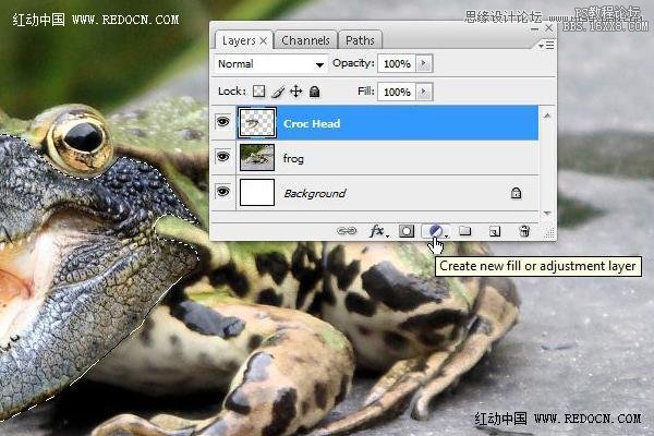 Photoshop合成创意的长着鳄鱼头的青蛙,PS教程,16xx8.com教程网