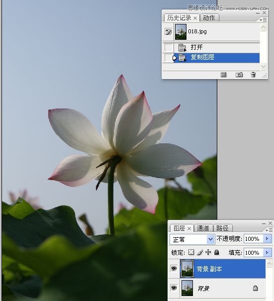 Photoshop合成色彩艳丽的荷花图,PS教程,16xx8.com教程网