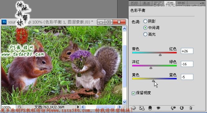 Photoshop合成拿着花朵正在求爱的松鼠,PS教程,16xx8.com教程网