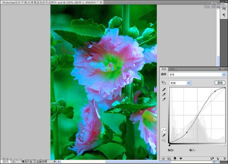 Photoshop给严重偏色的花朵照片较色,PS教程,16xx8.com教程网