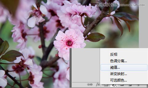 Photoshop利用曲线修正灰蒙蒙花朵图片,PS教程,