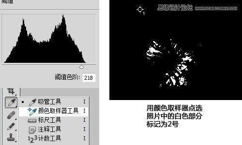 Photoshop利用曲线修正灰蒙蒙花朵图片,PS教程,