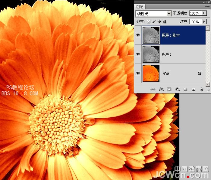 Photoshop美化教程:10秒找回花朵颜色层次和锐度_中国教程网