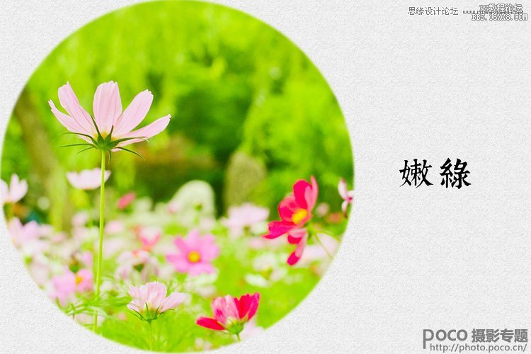 Photoshop制作色谱花卉主题作品教程,PS教程,16xx8.com教程网