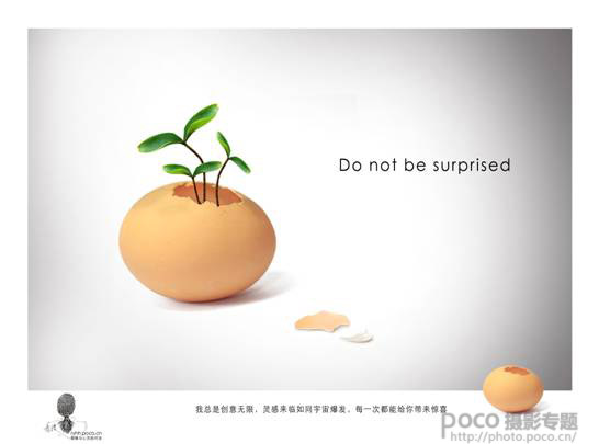 PS制作蛋壳里的植物创意食品安全宣传海报 三联教程