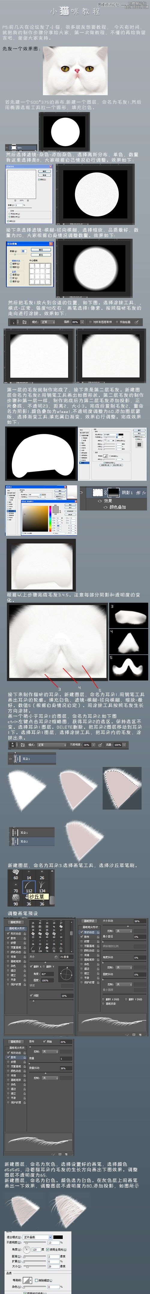 Photoshop绘制毛茸茸的猫咪教程,PS教程,16xx8.com教程网