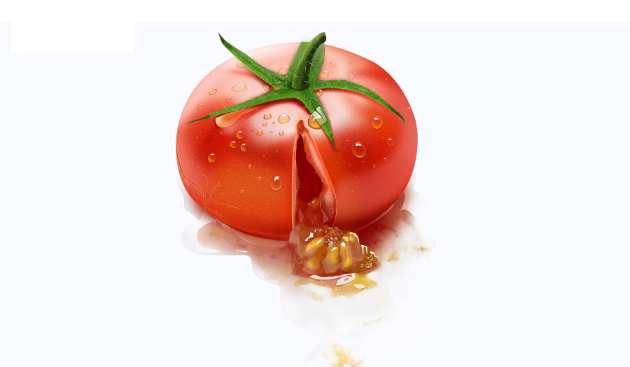 PhotoShop绘制一个裂开的番茄效果教程 教程