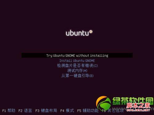 ubuntu13.04友帮拓系统图文安装教程-图2