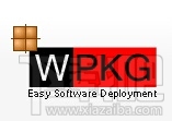 访问网站跳转到WPKG怎么办?访问国外网站跳转到WPKG的临时解决办法