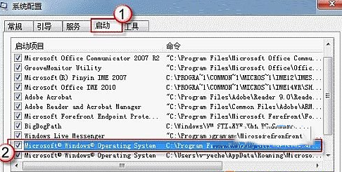 勾选C:\Program Files\Windows Sidebar\sidebar.exe/autoRun