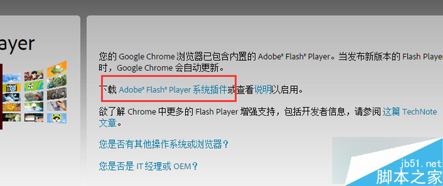 点击“Adobe® Flash® Player系统插件