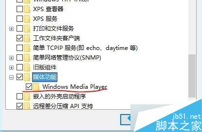 Win10系统删除Windows Media Player12的步骤5