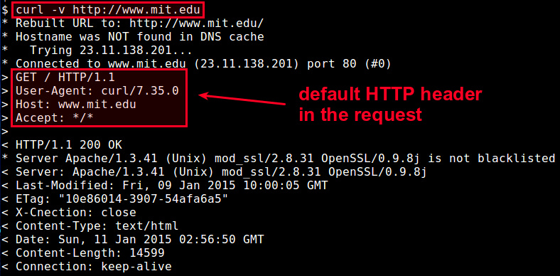 在Linux系统下使用curl自定义HTTP头的方法
