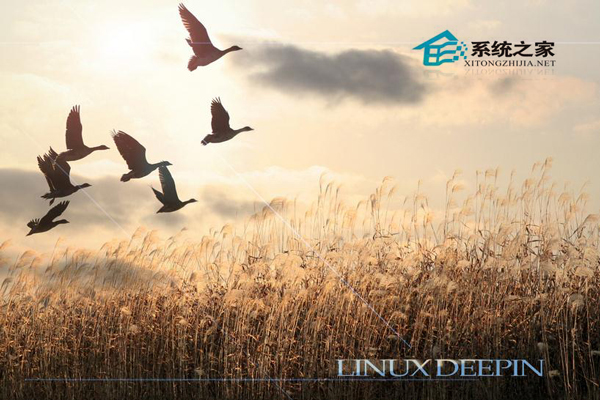 在Linux系统下查找可移植可执行文件的方法