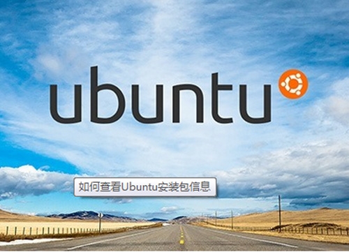 Ubuntu安装包信息怎样查看