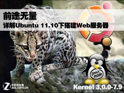 Ubuntu 11.0下配置Web服务器详细教程_