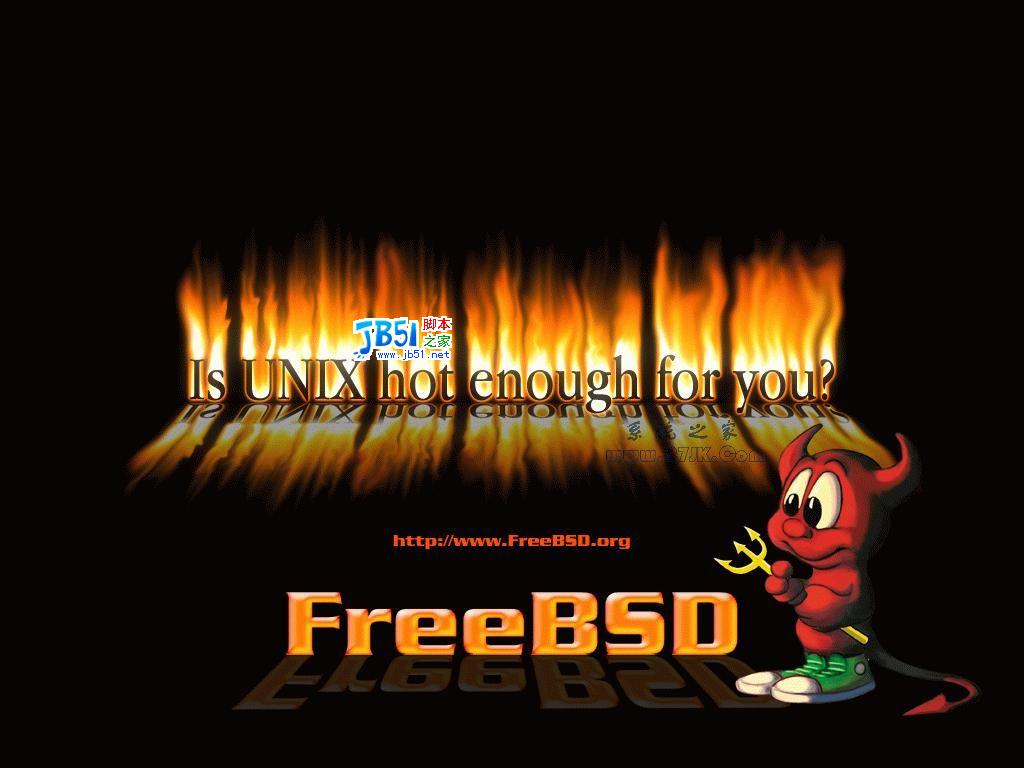 FreeBSD 6.2-RELEASE下载