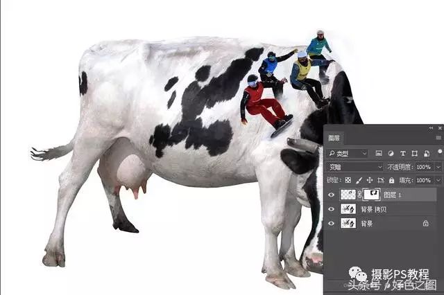 PS创意合成实例：设计一幅运动员在奶牛背上滑雪的场景，创意图片