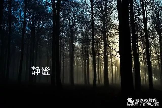 PS技巧教程：学习在照片中添加文字的技巧知识，照片中添加文字。