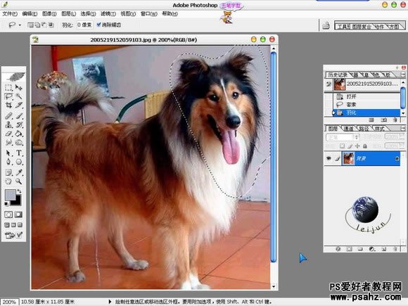 photoshop抠图教程实例：抠图毛茸茸的小狗