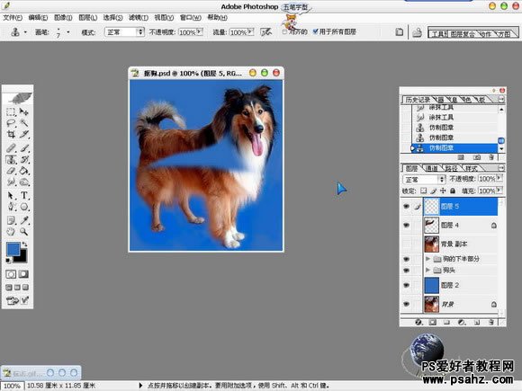photoshop抠图教程实例：抠图毛茸茸的小狗