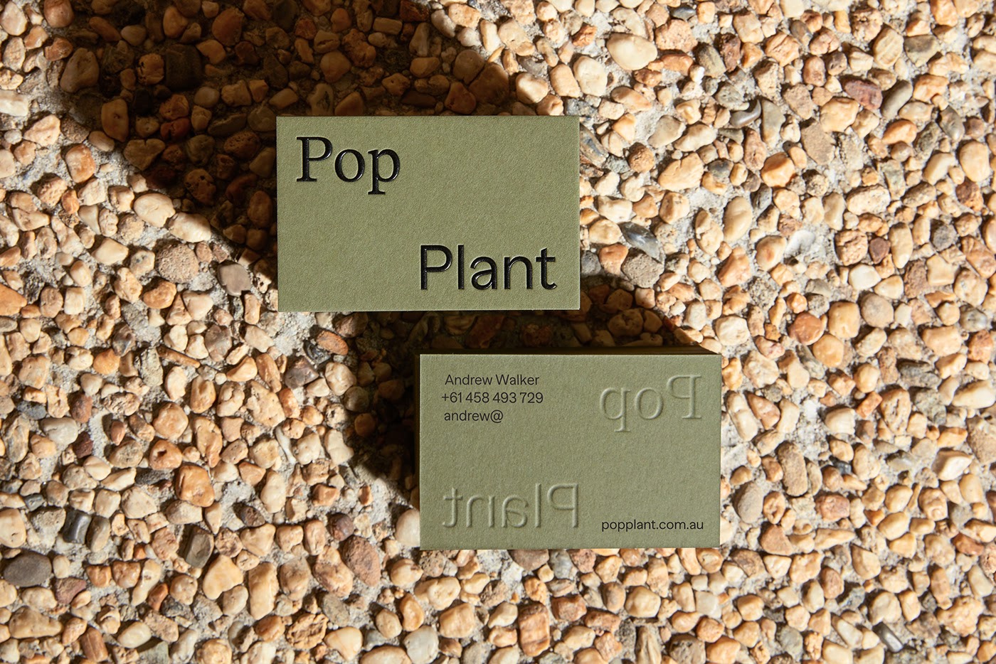 欣赏Pop Plant园林绿化公司品牌视觉设计作品。