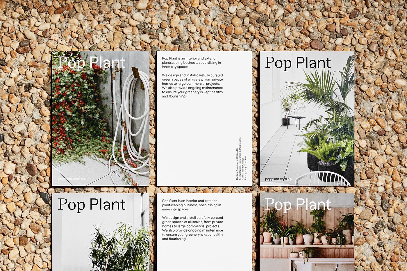 欣赏Pop Plant园林绿化公司品牌视觉设计作品。