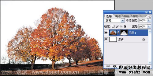PS抠图基础教程：利用通道给秋景图片换背景