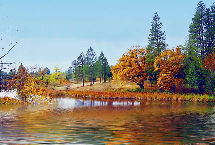 PS滤镜特效教程：学习把秋季风景画制作成抽象个性的油画效果。