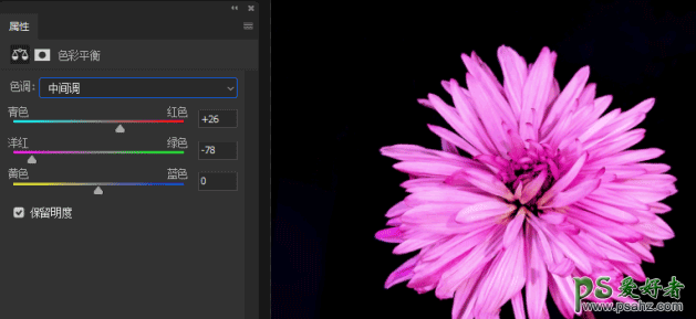 PS上色教程：学习给枯萎发白的花卉图片进行上色，变成鲜艳的花朵