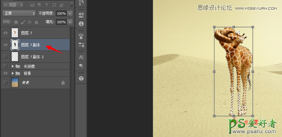 PS溶图教程：用CC版本操控变形创意合成沙漠里脖子打结的长颈鹿