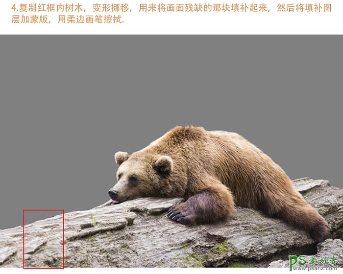 Photoshop人像合成教程：创意合成一幅可爱的婴儿趴在熊背上的场