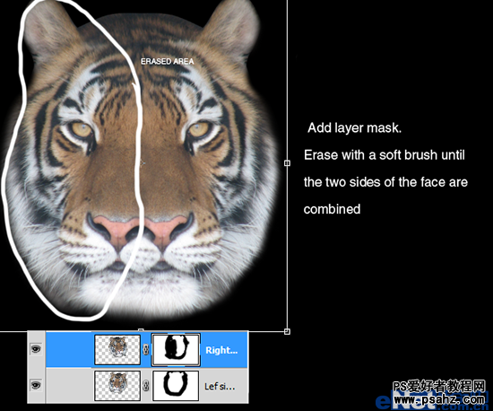 photoshop创意设计一幅神奇的老虎海报高级教程