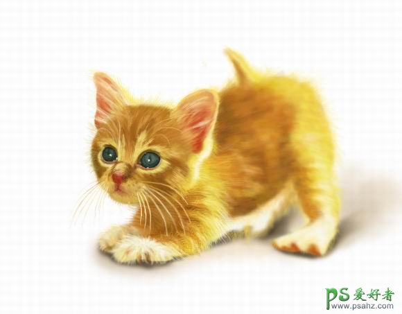 鼠绘可爱小猫，小黄猫，小猫壁纸 PS鼠绘教程 绘制可爱的小猫咪