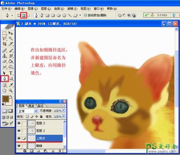 PS鼠绘教程：绘制可爱的小猫咪，鼠绘可爱小猫，小黄猫，小猫壁纸