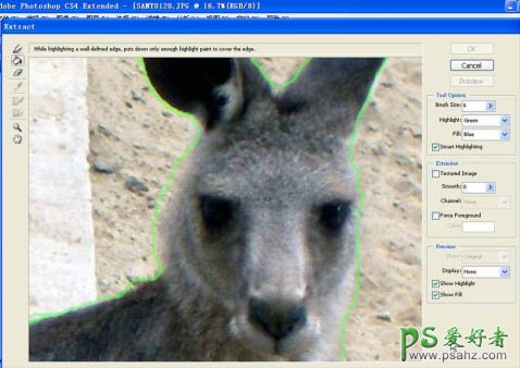 Photoshop CS4中的抽出滤镜抠图实用技巧教程