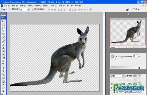 Photoshop CS4中的抽出滤镜抠图实用技巧教程