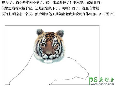 ps鼠绘老虎教程：学习纯手工绘制草丛中卧着的老虎插画效果图