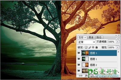 photoshop给草原上的枯树风景快速调出冷暖两种色调