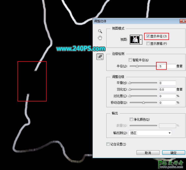 PS新手入门教程：学习调整边缘如何使用，利用调整边缘抠图。